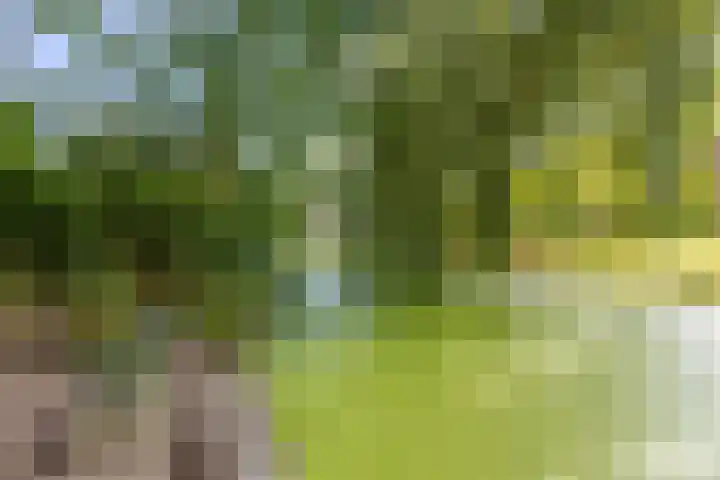 Acacialaan 32 Groningen thumbnail 38