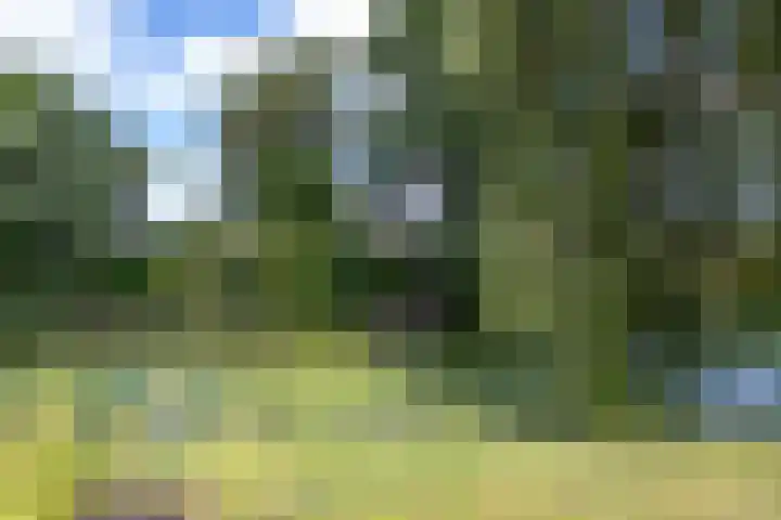 Acacialaan 32 Groningen thumbnail 39