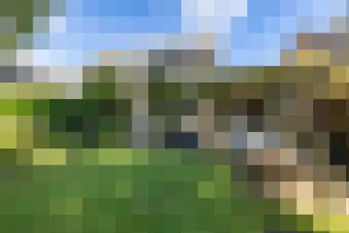 Acacialaan 32 Groningen thumbnail 4