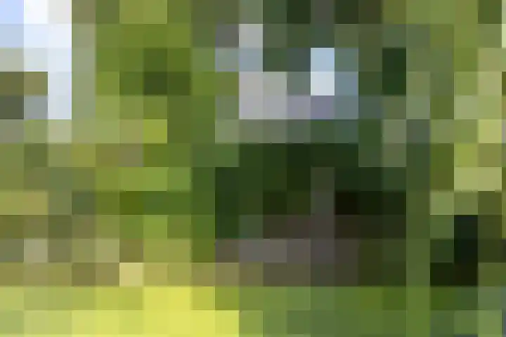 Acacialaan 32 Groningen thumbnail 40