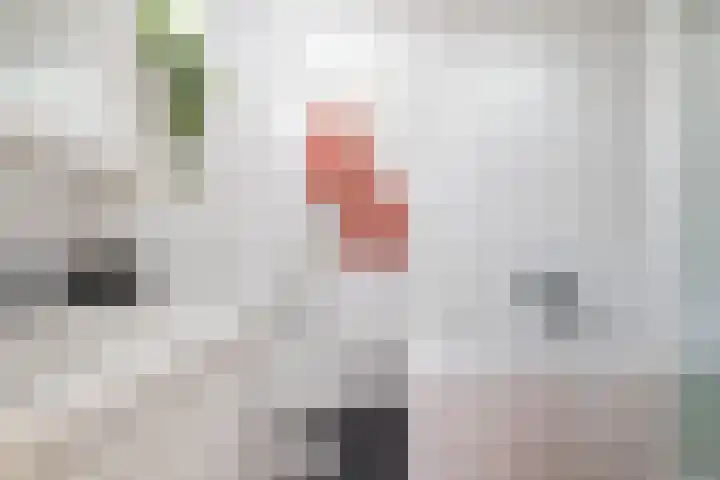 Acacialaan 32 Groningen thumbnail 56