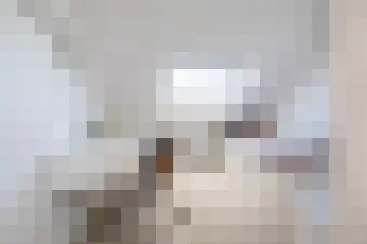 Acacialaan 32 Groningen thumbnail 68