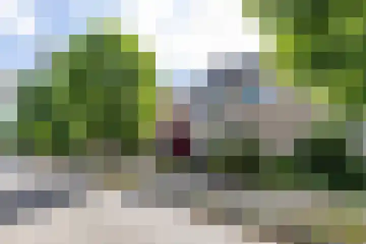Acacialaan 32 Groningen thumbnail 71