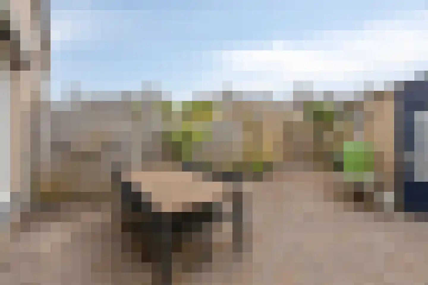 Acacialaan 32 Steenbergen thumbnail 37
