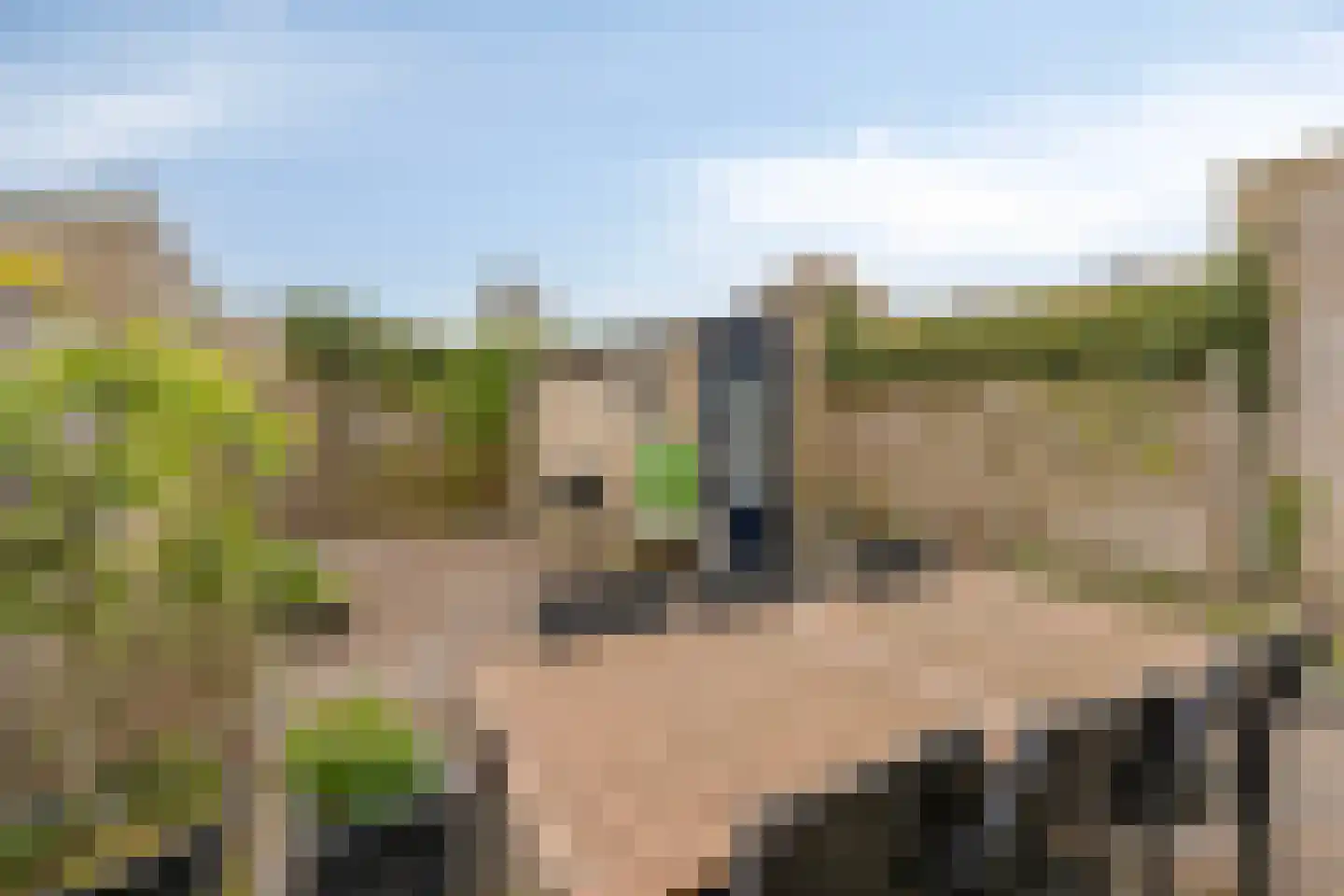 Acacialaan 32 Steenbergen thumbnail 39