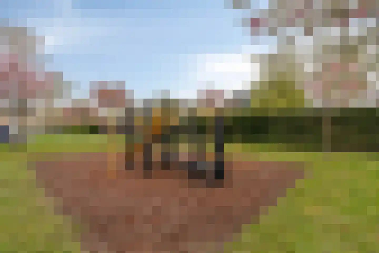 Acacialaan 32 Steenbergen thumbnail 45