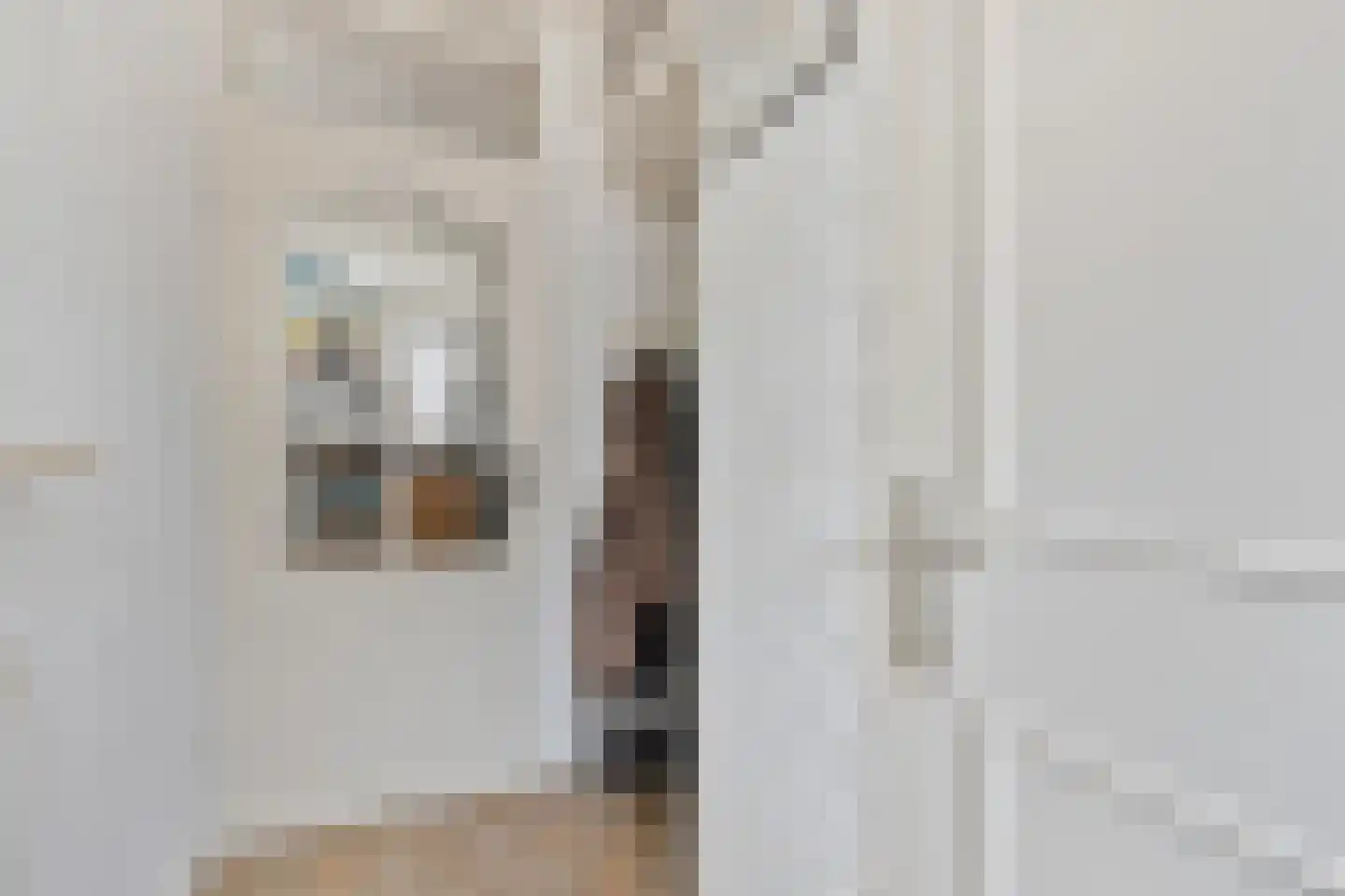 Acacialaan 32 Steenbergen thumbnail 7