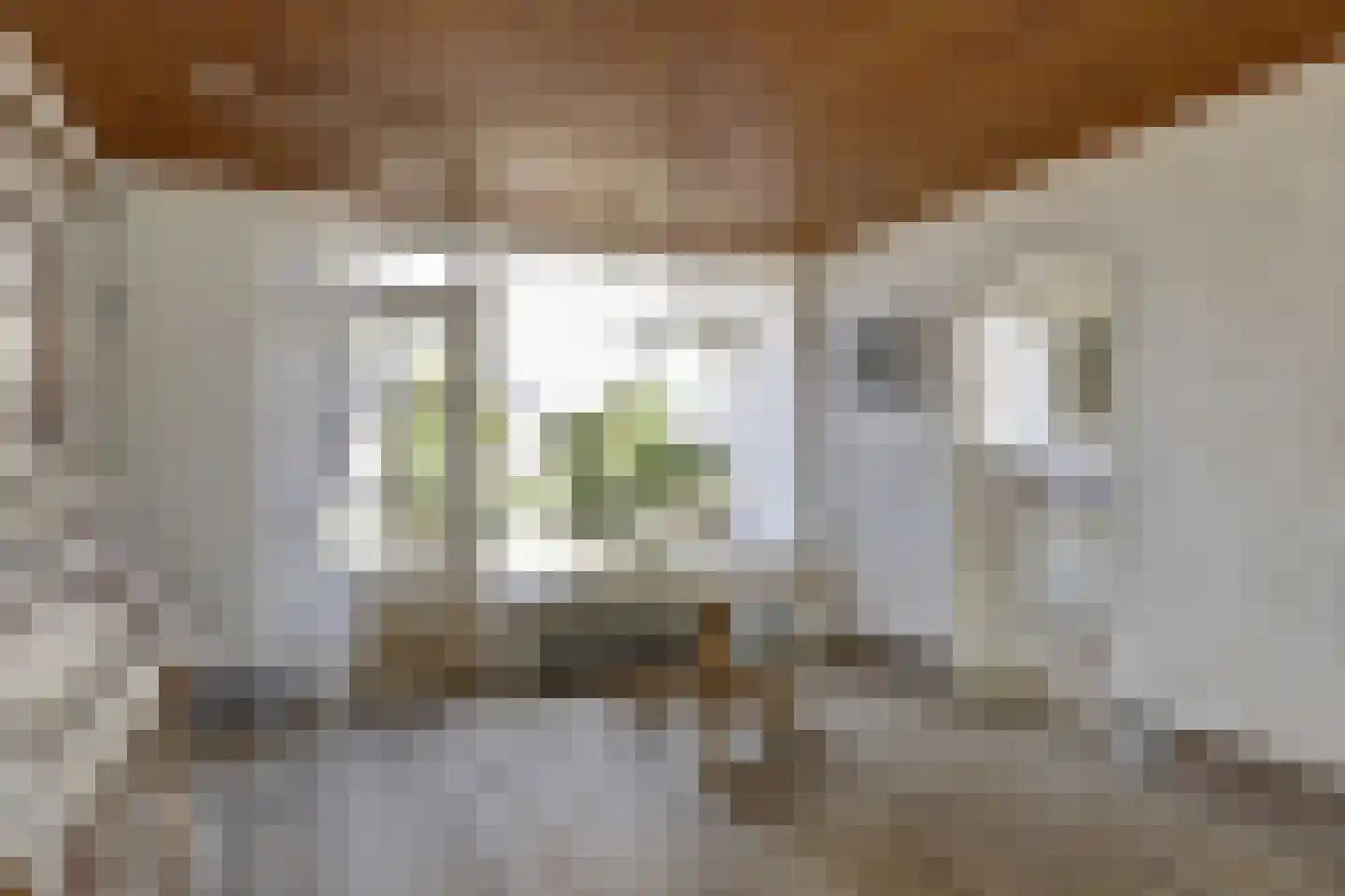 Acacialaan 33 Steenbergen thumbnail 15