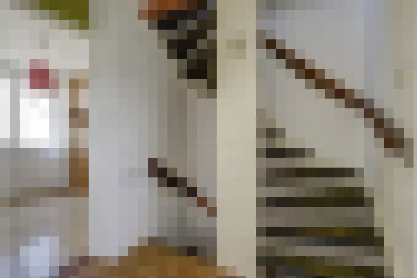 Acacialaan 33 Steenbergen thumbnail 21