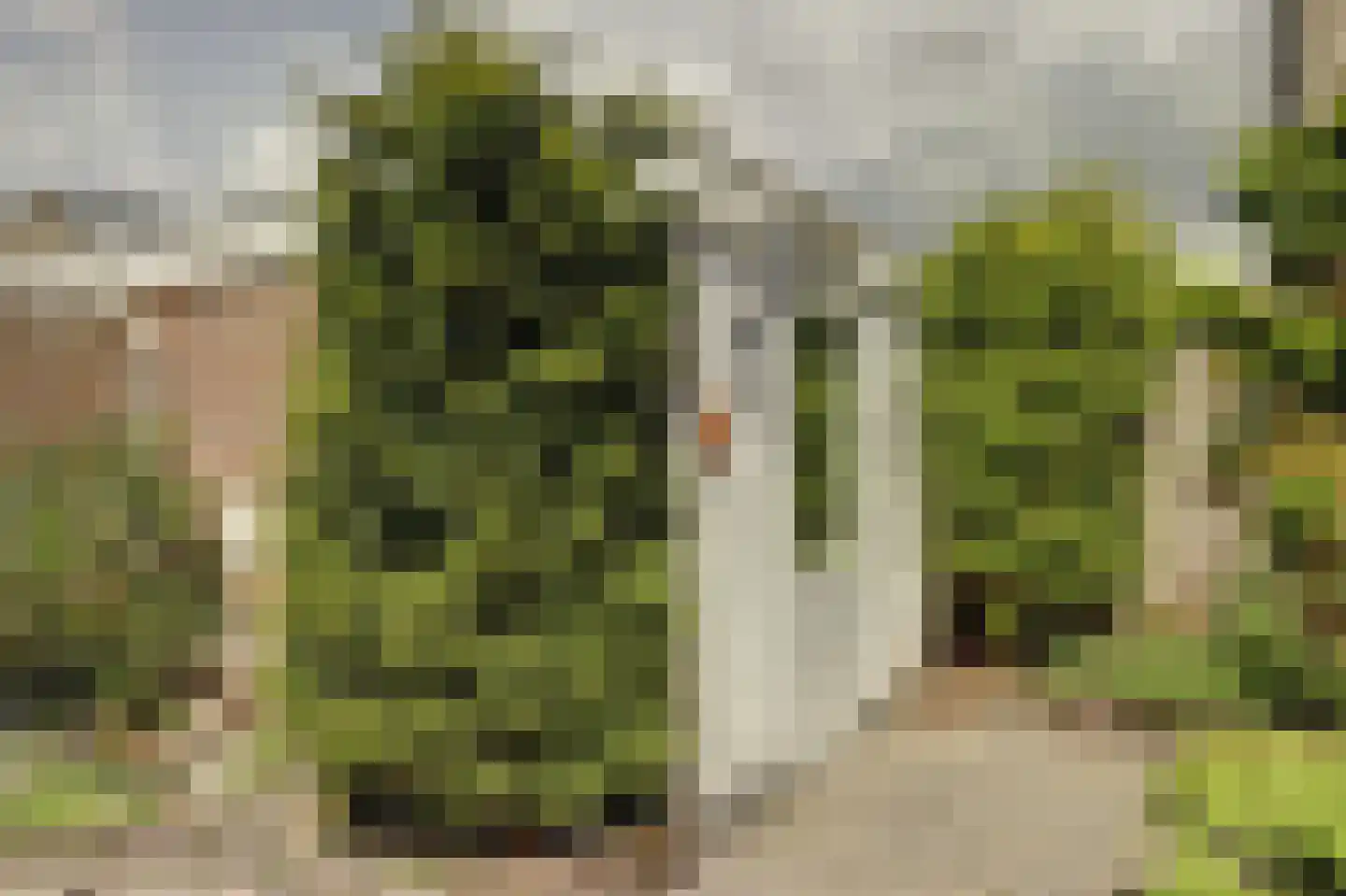 Acacialaan 33 Steenbergen thumbnail 36