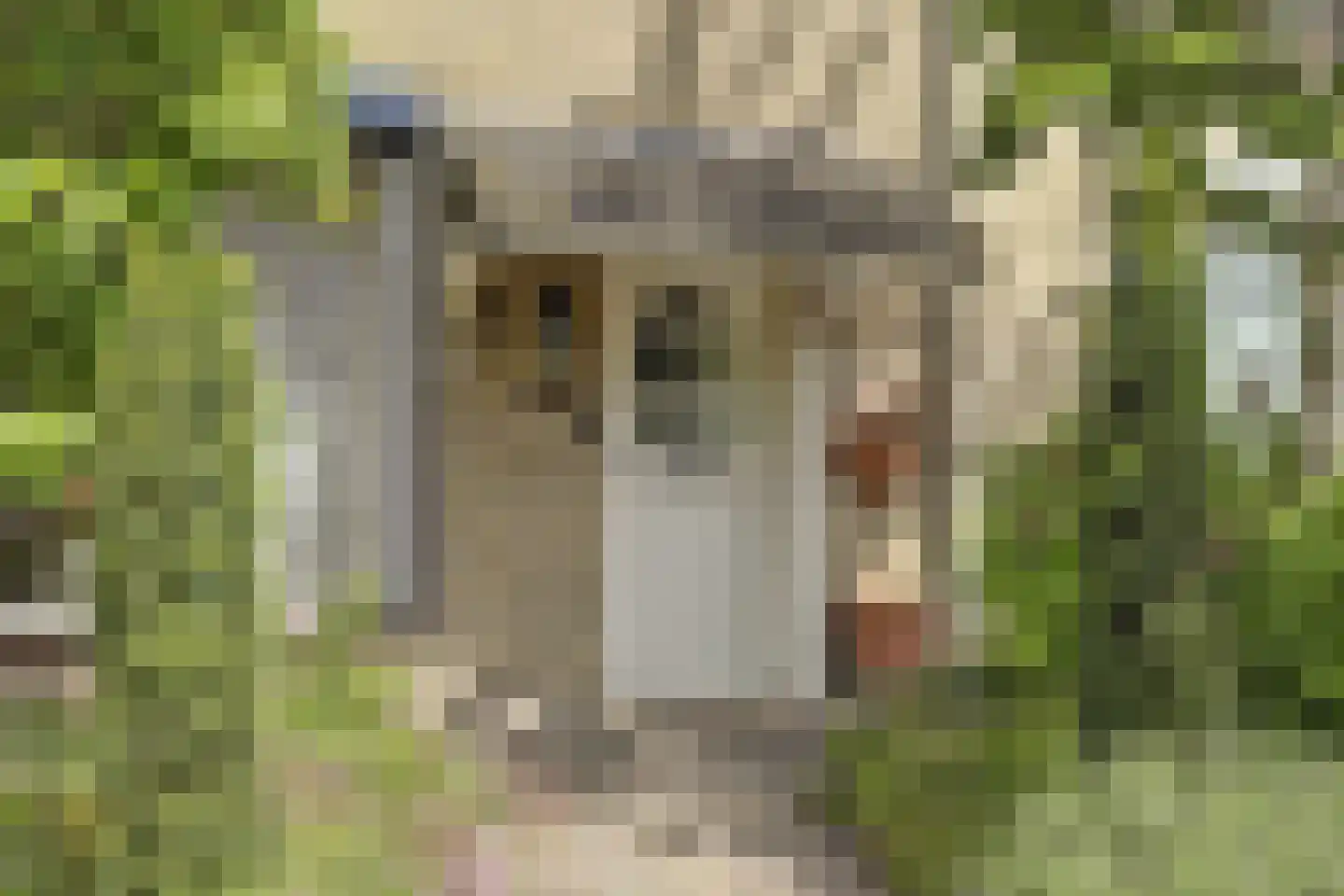 Acacialaan 33 Steenbergen thumbnail 8