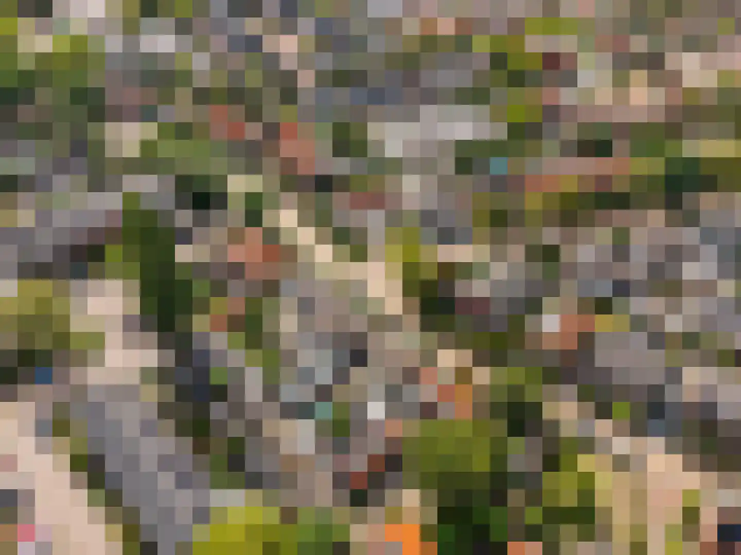 Acacialaan 34 Baarn thumbnail 32