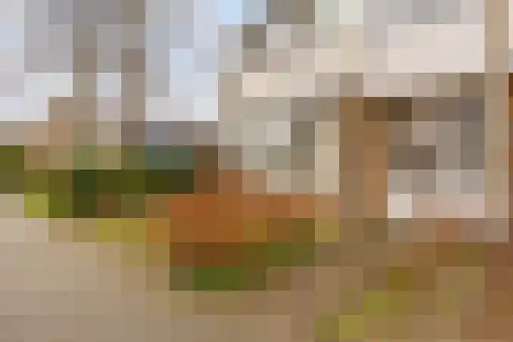 Acacialaan 34 Rozenburg thumbnail 10