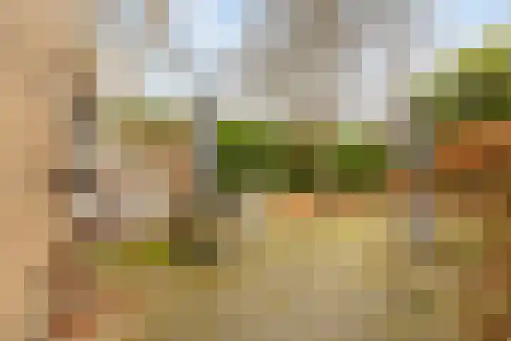 Acacialaan 34 Rozenburg thumbnail 19