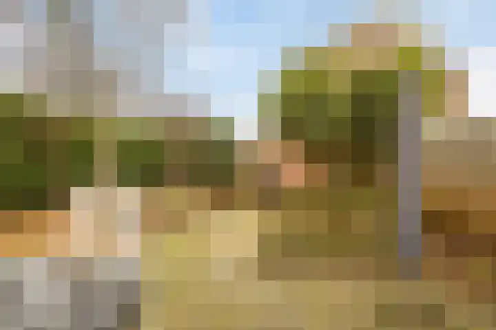 Acacialaan 34 Rozenburg thumbnail 20