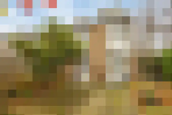 Acacialaan 34 Rozenburg thumbnail 4