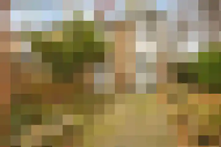 Acacialaan 34 Rozenburg thumbnail 40