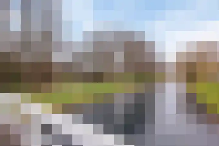 Acacialaan 34 Rozenburg thumbnail 43
