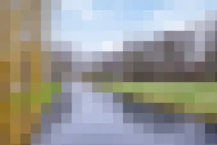 Acacialaan 34 Rozenburg thumbnail 44