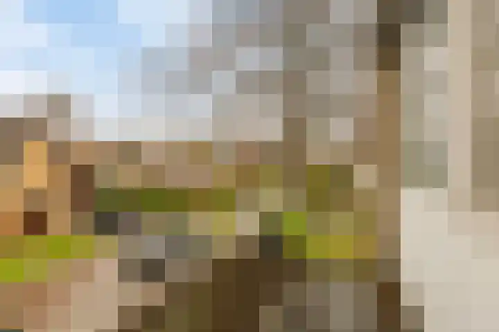 Acacialaan 34 Rozenburg thumbnail 6