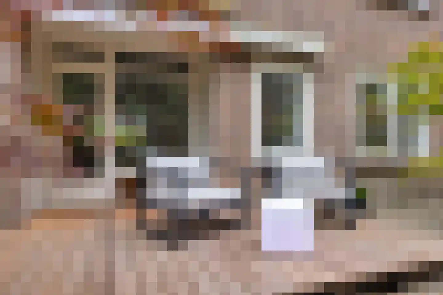 Acacialaan 35 Rijswijk thumbnail 18
