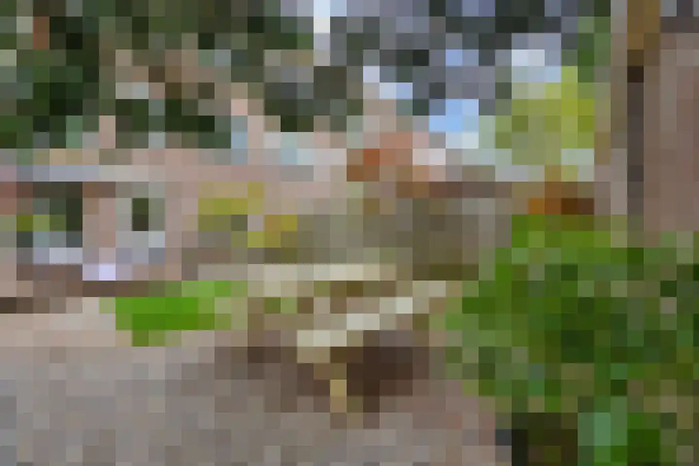 Acacialaan 35 Rijswijk thumbnail 19