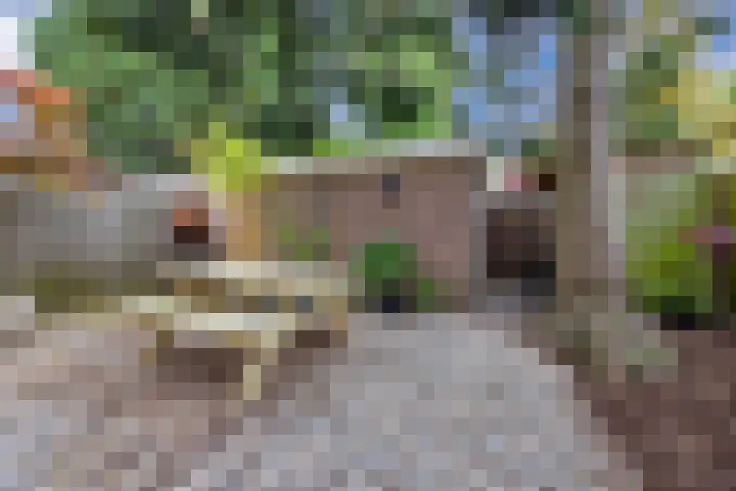 Acacialaan 35 Rijswijk thumbnail 21