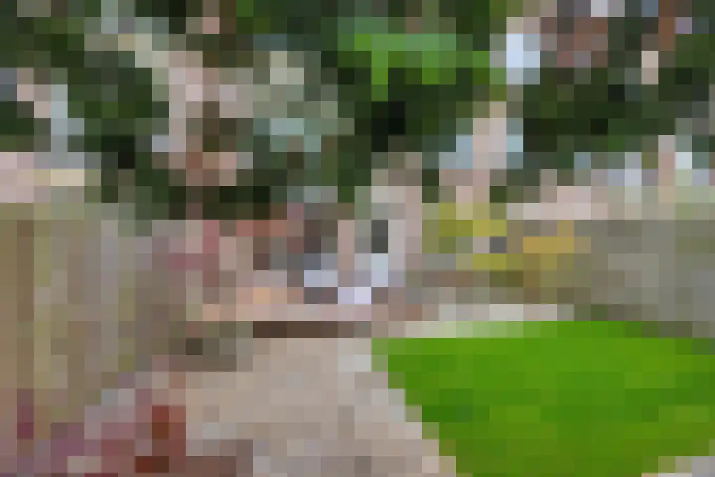 Acacialaan 35 Rijswijk thumbnail 23