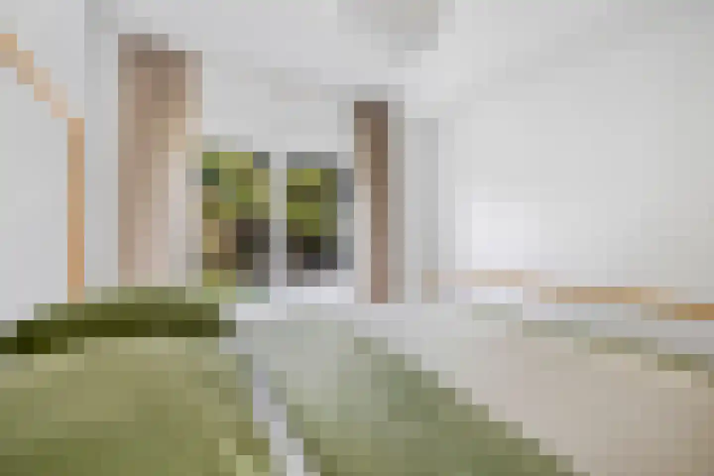 Acacialaan 35 Rijswijk thumbnail 28