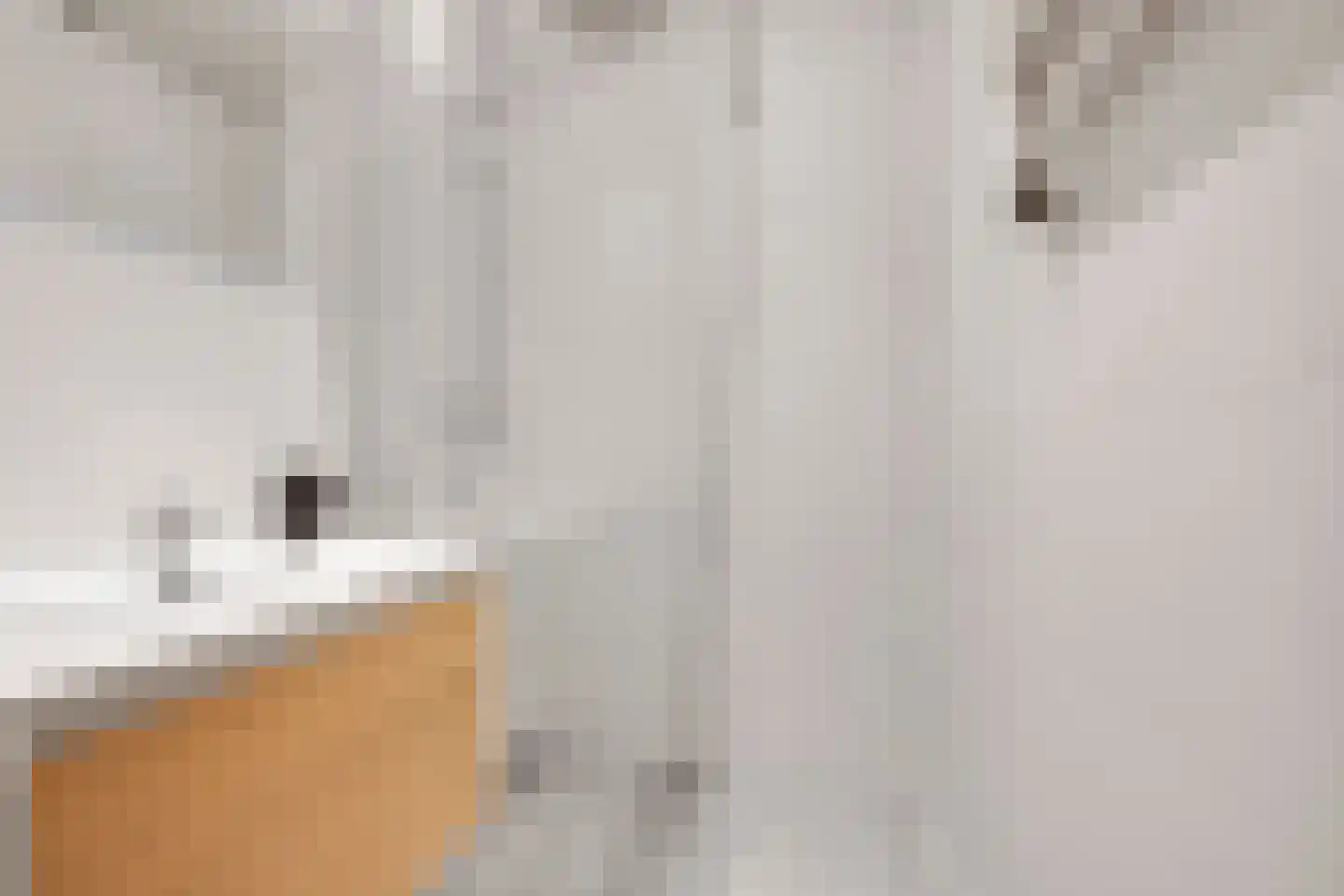 Acacialaan 35 Rijswijk thumbnail 29