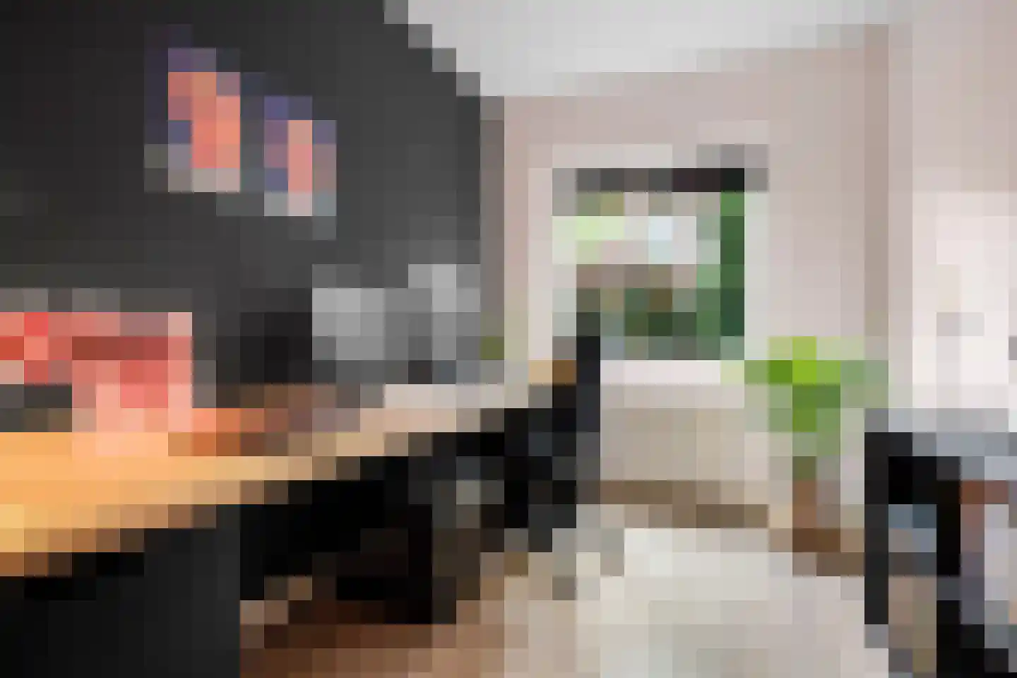 Acacialaan 35 Rijswijk thumbnail 32