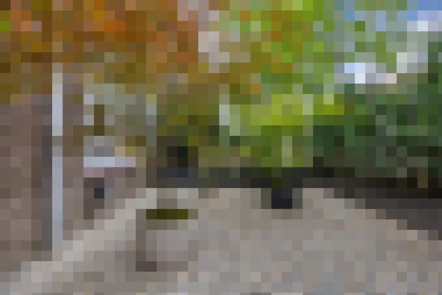 Acacialaan 35 Rijswijk thumbnail 5