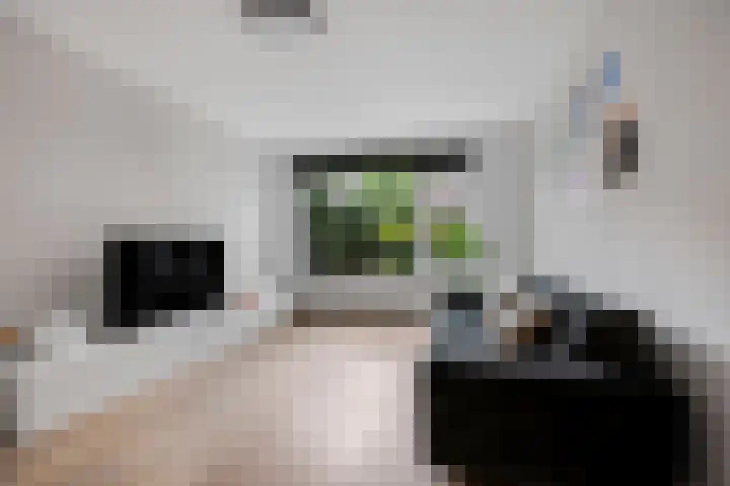 Acacialaan 35 Rijswijk thumbnail 9