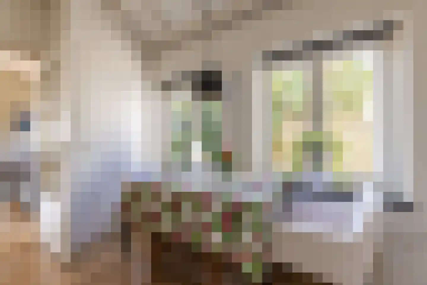 Acacialaan 37 Oosterbeek thumbnail 32