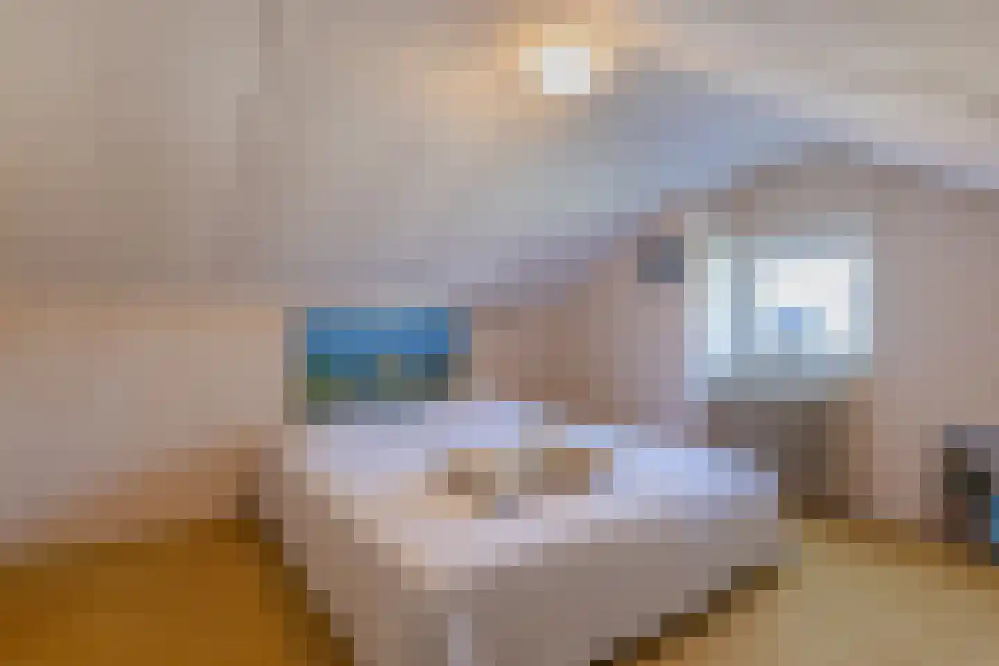 Acacialaan 37 Oosterbeek thumbnail 43