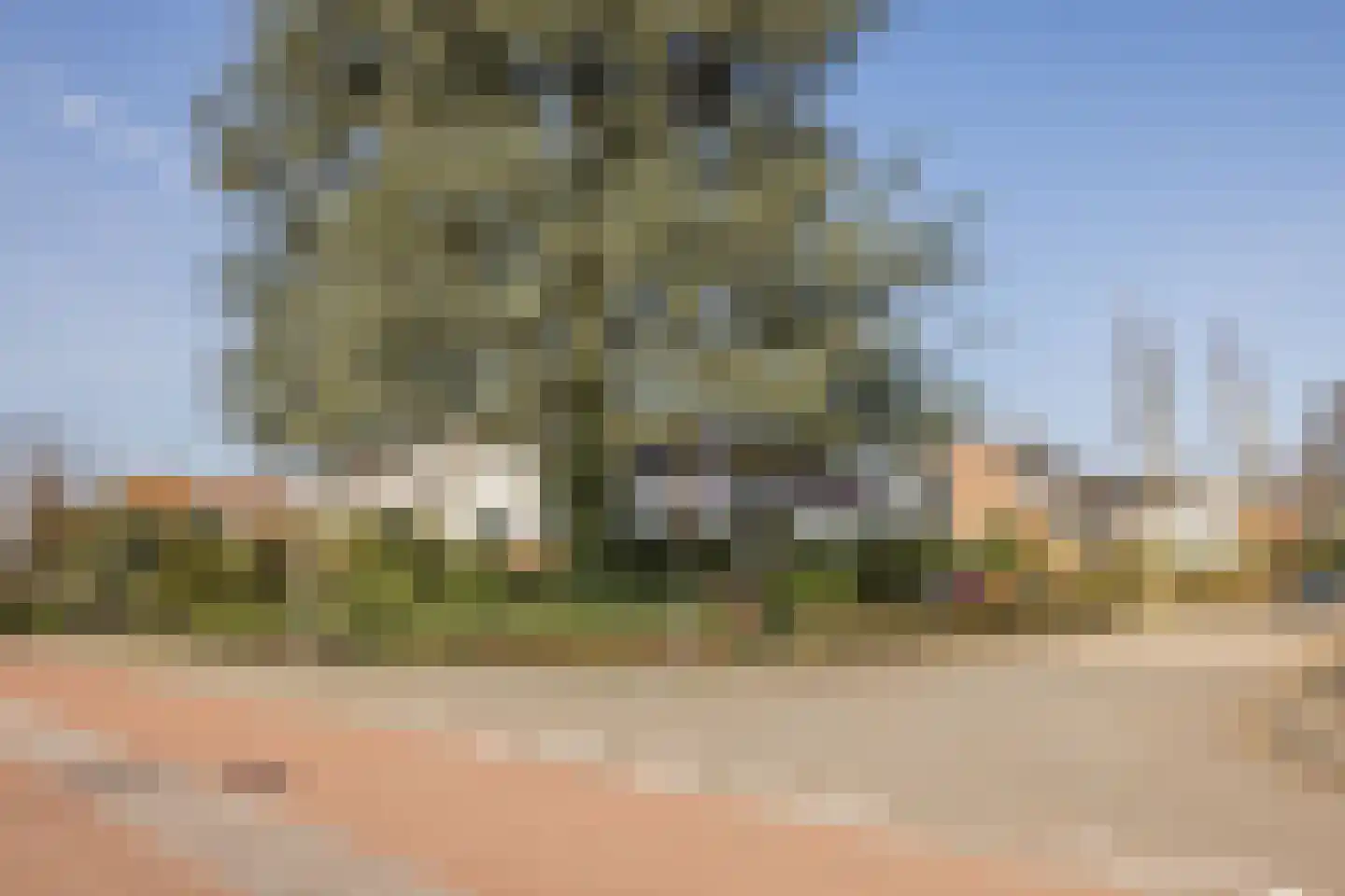 Acacialaan 37 Oosterbeek thumbnail 49