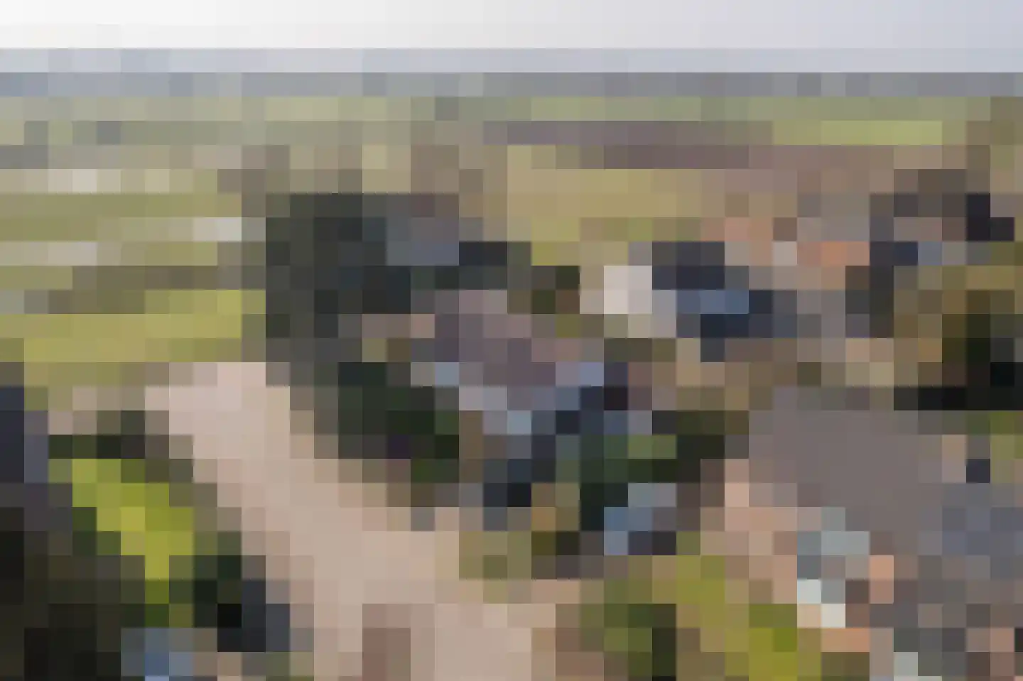Acacialaan 37 Oosterbeek thumbnail 54