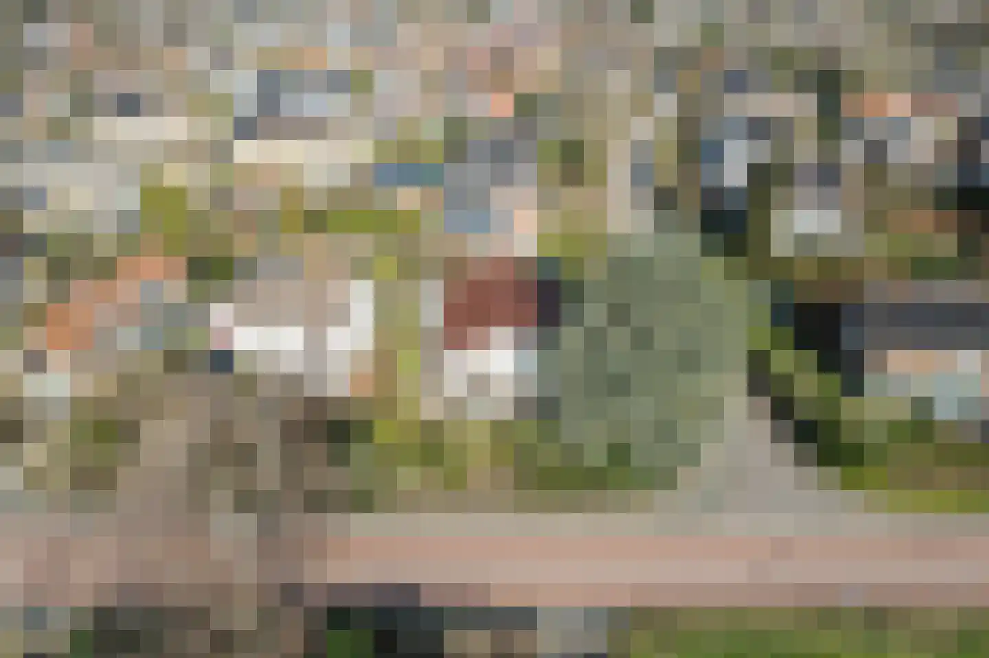 Acacialaan 37 Oosterbeek thumbnail 55
