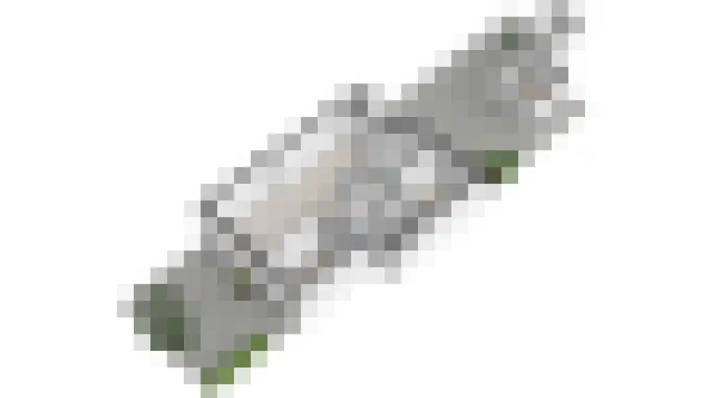 Acacialaan 37 Rijswijk thumbnail 34