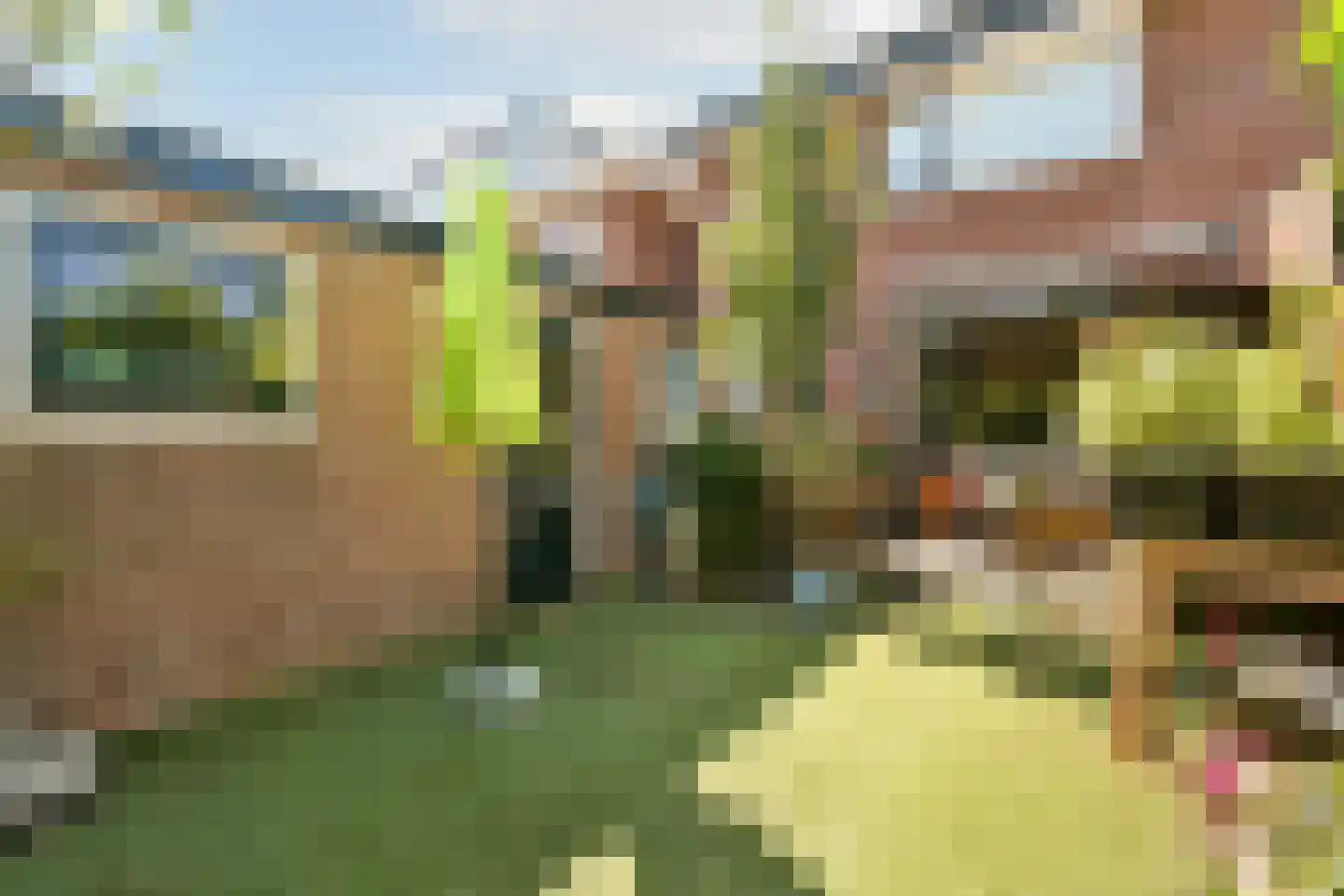 Acacialaan 38 Beverwijk thumbnail 10