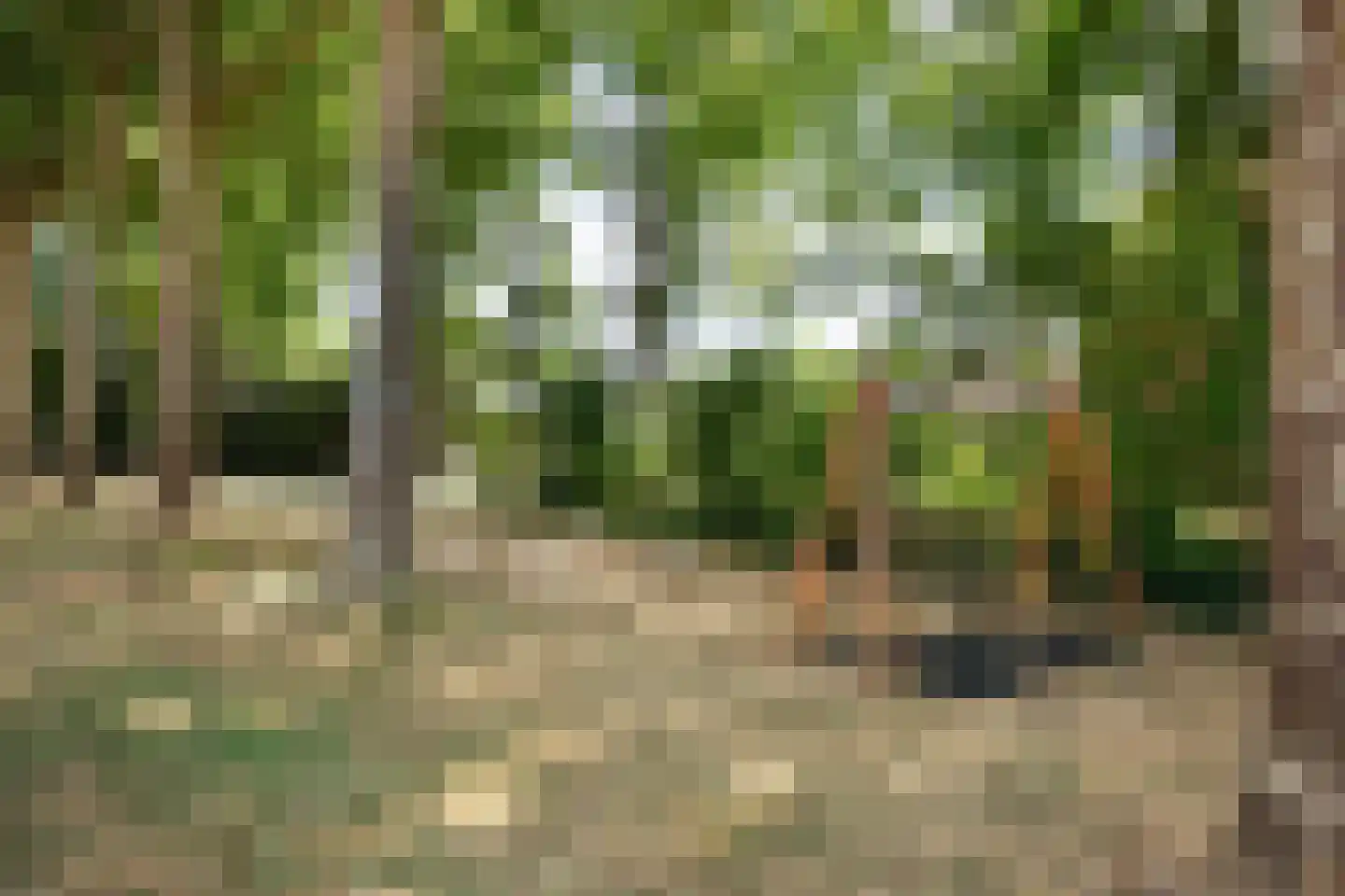 Acacialaan 38 Beverwijk thumbnail 26