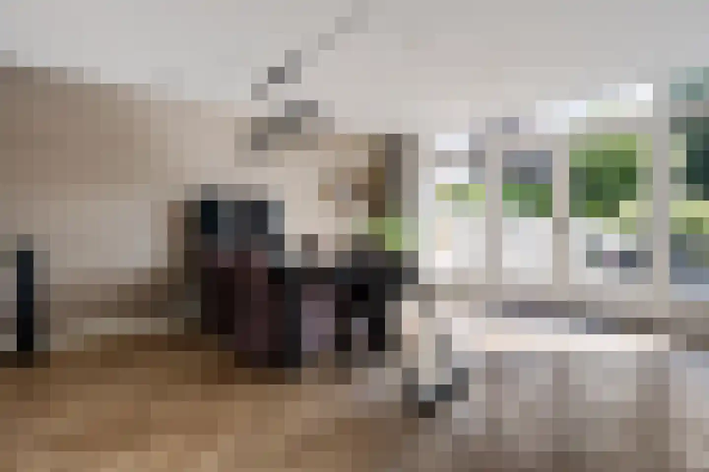 Acacialaan 4 A Winschoten thumbnail 15