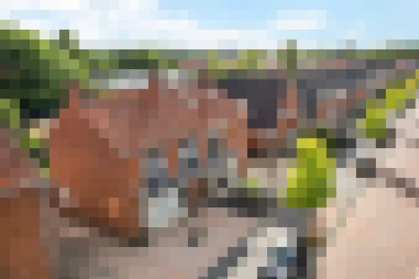 Acacialaan 4 A Winschoten thumbnail 42