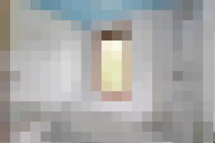 Acacialaan 4 Burgh-Haamstede thumbnail 17