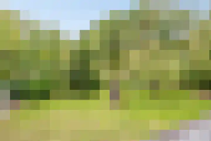Acacialaan 4 Burgh-Haamstede thumbnail 28