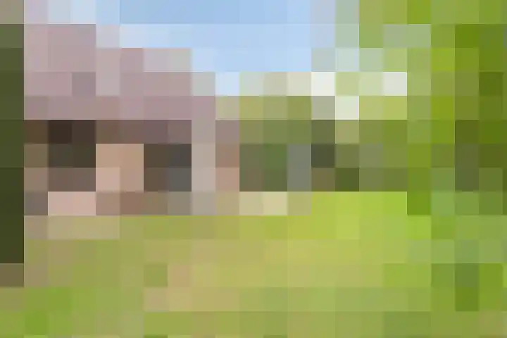 Acacialaan 4 Burgh-Haamstede thumbnail 30
