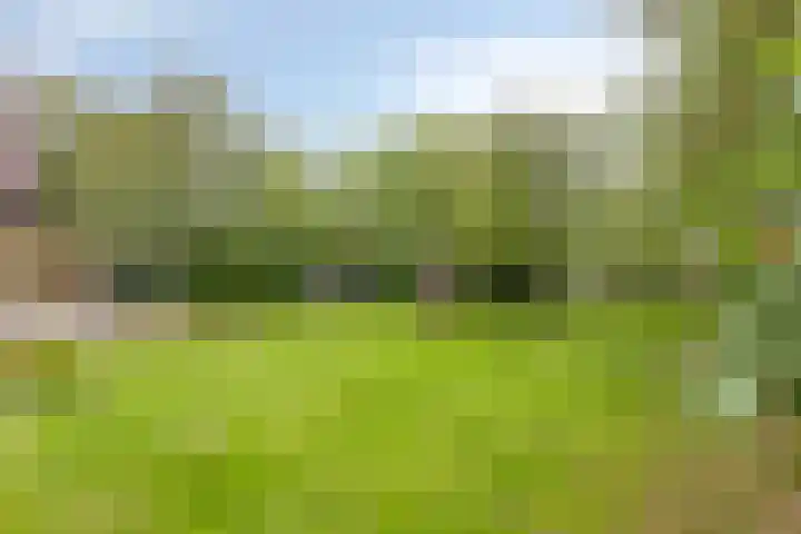 Acacialaan 4 Burgh-Haamstede thumbnail 31