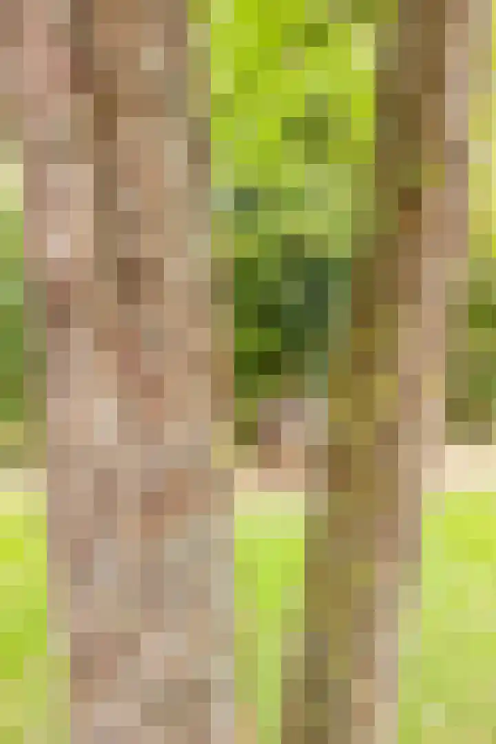Acacialaan 4 Burgh-Haamstede thumbnail 32