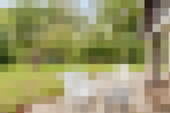 Acacialaan 4 Burgh-Haamstede thumbnail 34