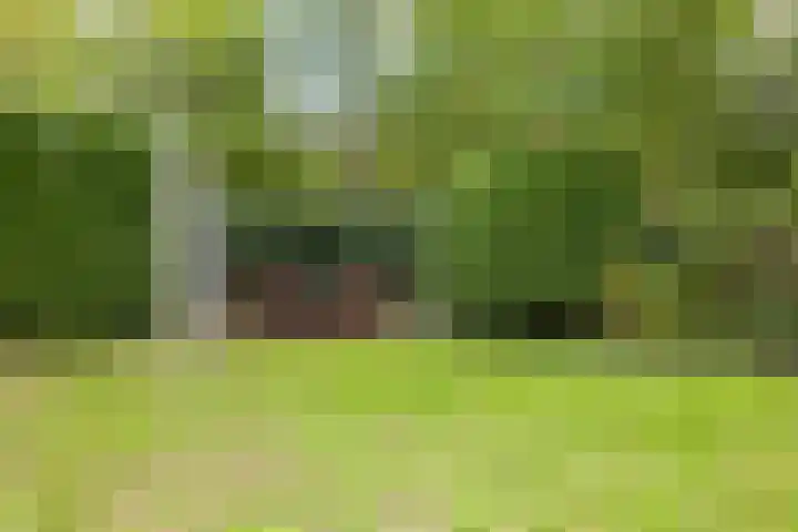 Acacialaan 4 Burgh-Haamstede thumbnail 35